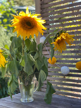 Sunflower PomPom Garland