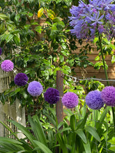 Purple Bubbles PomPom Garland