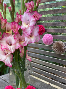 Boho Gladi PomPom Garland