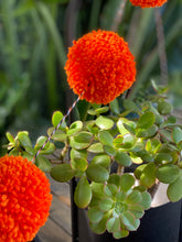 POMPOM HALLOWEEN GARLAND