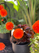 POMPOM HALLOWEEN GARLAND